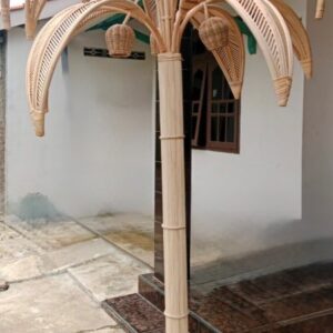 rattan palmiye