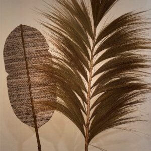 saçak pampas